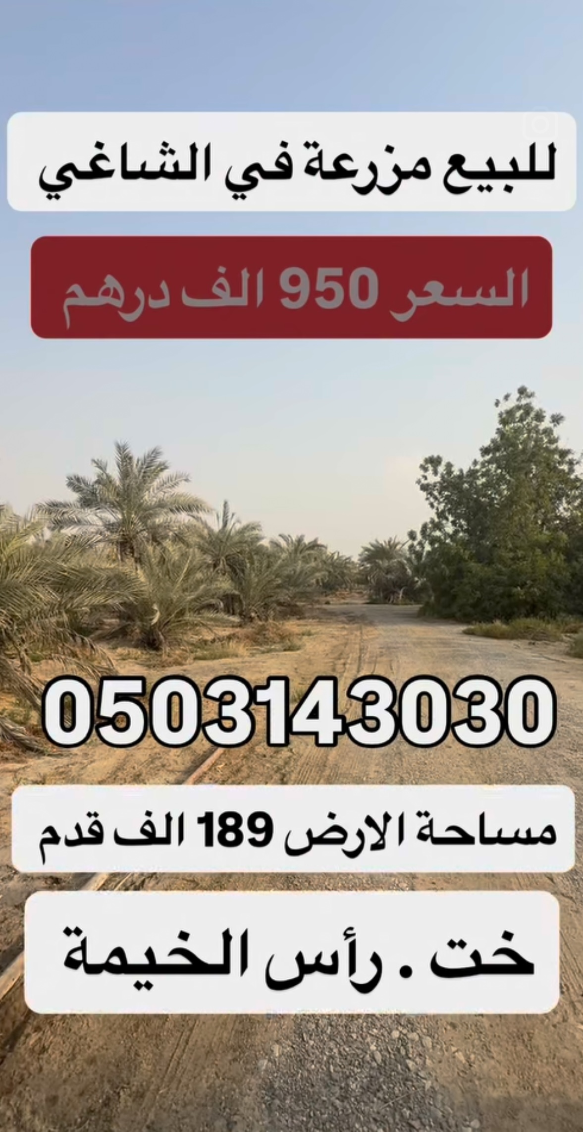 Farm for sale 